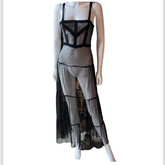 Hot Topic vintage Mesh Maxi Dress - Picture 2 of 10